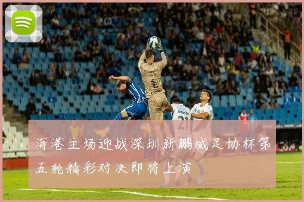 海港主场迎战深圳新鹏城足协杯第五轮精彩对决即将上演